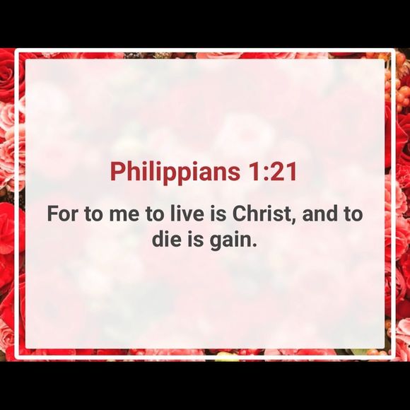 BOOKMARK W/♥️ Meet your Posher, Joss🏝WELCOME!!🥳 - Picture 14 of 15